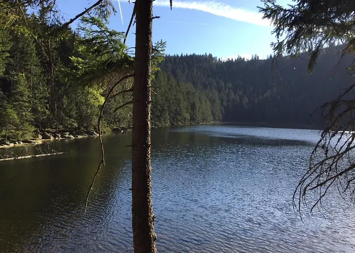 Daire Klostermann & Javor Wellness Železná Ruda