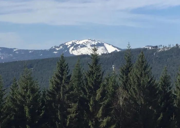 Klostermann & Javor Wellness Železná Ruda