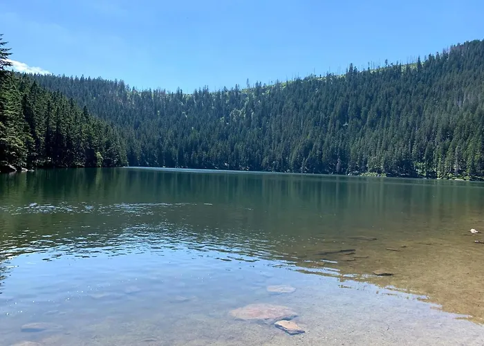 Daire Klostermann & Javor Wellness *