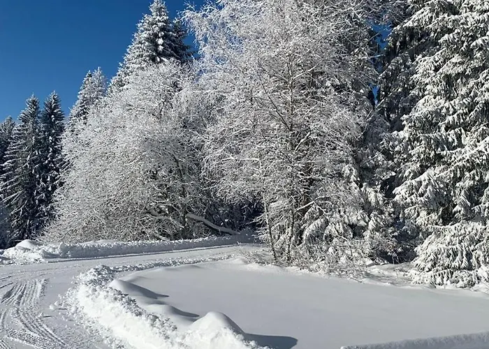 Lägenhet Klostermann & Javor Wellness Železná Ruda